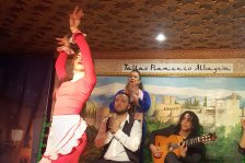 562 granada flamenco show